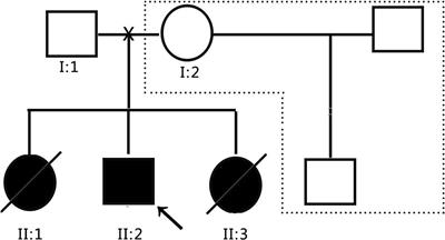 Functional Characterization of Argininosuccinate Lyase Gene Variants by Mini-Gene Splicing Assay